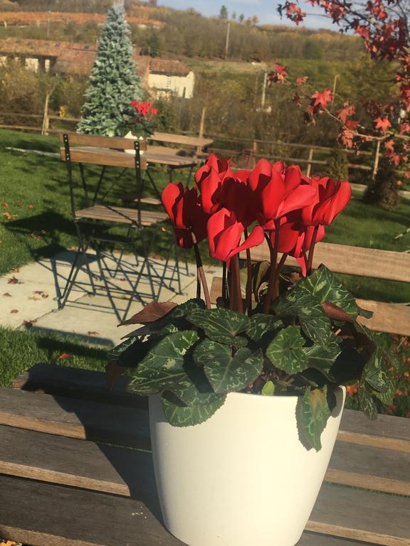 Agriturismo Da Mamma Alba  Zewnętrze zdjęcie