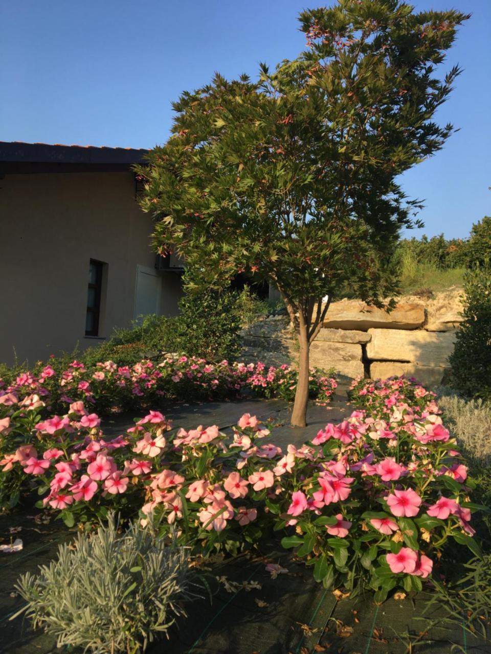 Agriturismo Da Mamma Alba  Zewnętrze zdjęcie